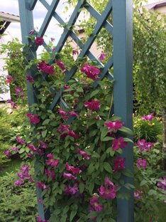 Сад под Москвой в разные сезоны