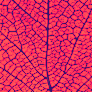 Уход, макияж