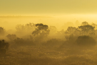 Пейзажи, природа 