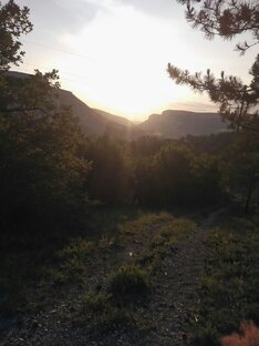 Вокруг света