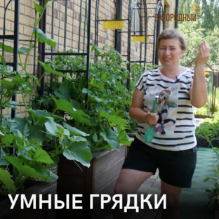 Умные грядки