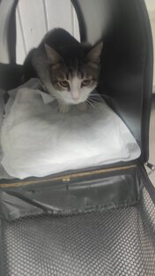 Дарси благодарит всех за помощь