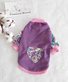 одежда для собак