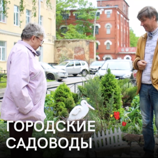 Городские садоводы