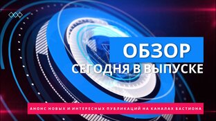 Обзор каналов социальной сети Бастион