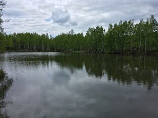 Экофестивали