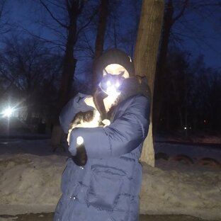 Мы все едины