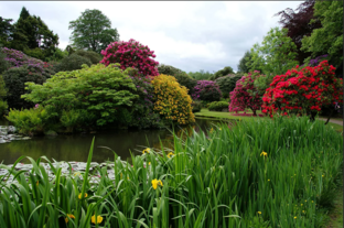 Растительная жизнь