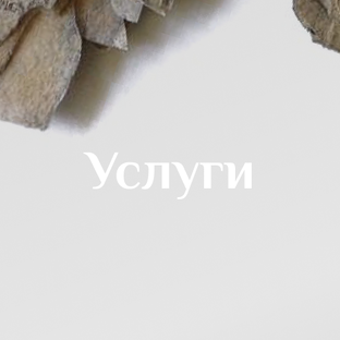 Услуги