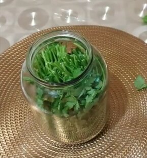 ХРАНЕНИЕ,ЗАМОРОЗКА,ОВОЩЕЙ И ФРУКТОВ