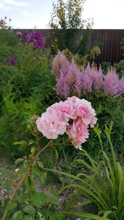 Мои фавориты