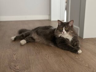 Счастливые истории! 