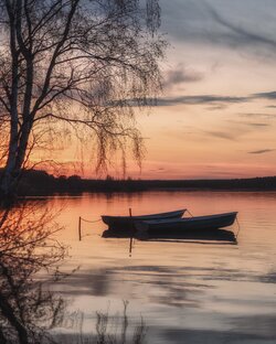 Про пейзажи