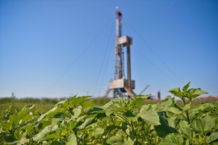 Нефть