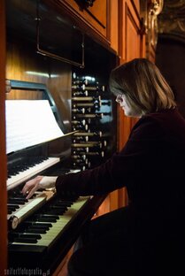 Анонсы концертов