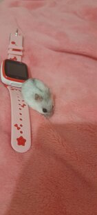 Правда  кнопачка милашка 