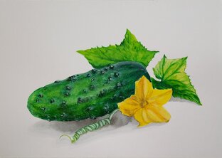 Фрукты и овощи