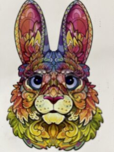 Животные- друзья кожаных