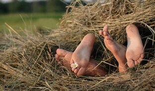 В поисках Графа