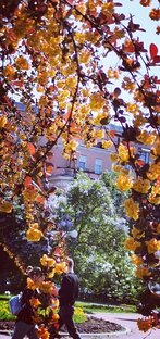 Семья, личная жизнь