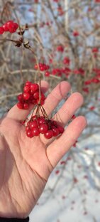 Прогулки на природе