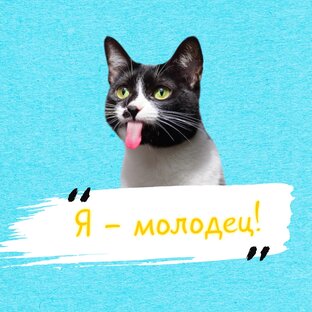 Я - молодец! Итоги