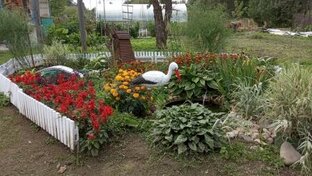 Дом, Сад, Огород