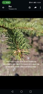 Умномыслие и шутки психолога