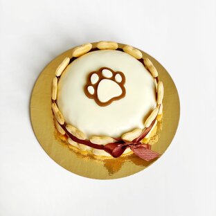 Торт «Шоколадная лапа», размер мини