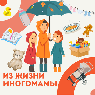 Из жизни многомамы