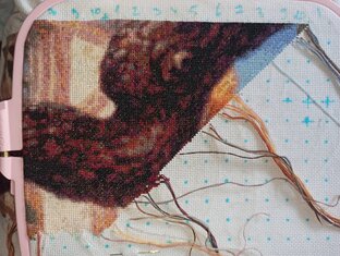 Мои многоцветки