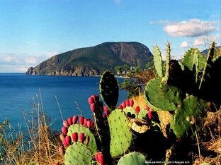 Любимый Крым. И не только)) 