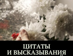 Цитаты 