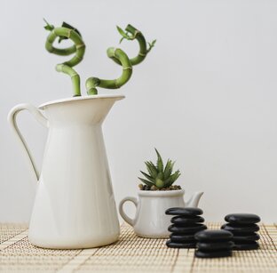 Прогнозы от китайской метафизики