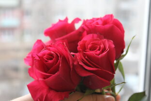 Короткие рассказы