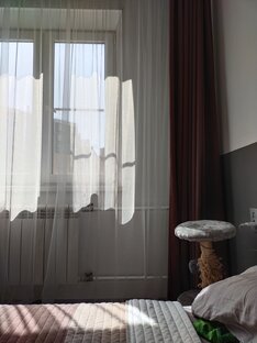 10 фактов
