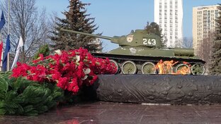 Домашние влоги