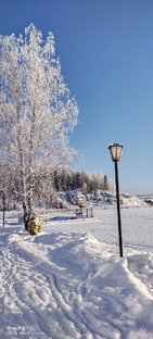 Тропа здоровья 