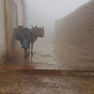 Культурные казусы