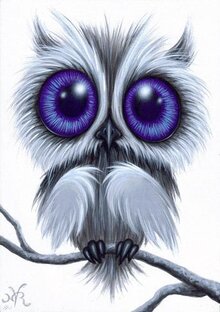 Приколы с разными животными😝