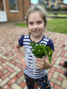 Дачные будни