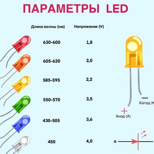 Инфографика 