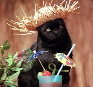 Сабрина -маленькая ведьма,Зена королева воинов,Тайны Смолвиля