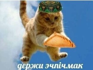 Наши на природе
