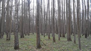 Походы по Павелецкому направлению ЖД