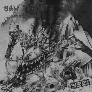 Альбомы и подборки