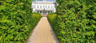 Путешествия