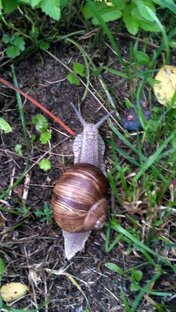 Другие миры