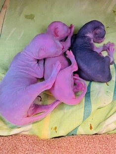 НЛОшки рулят🔥🔥🔥