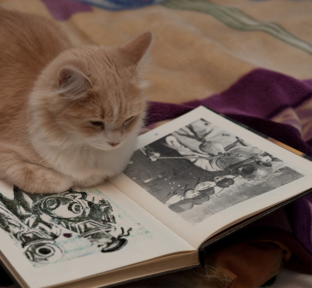 Интересные факты про ЭПРОН